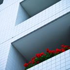 マンション
