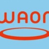 WAON　イオン